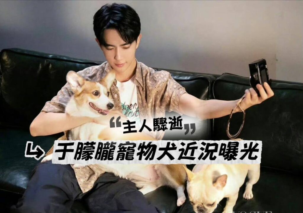 主人驟逝!全網最牽掛的寵物犬!于朦朧愛犬「福麗」和「火腿」現況曝光! - epop - 就愛玩娛樂